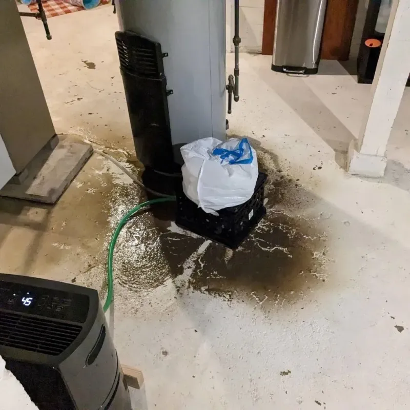 Sewage Backup Cleanup Service in Jemison, AL
